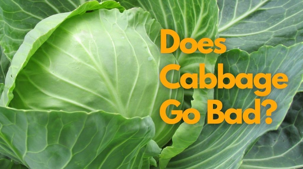 Does Cabbage Go Bad? How Can You Tell If It Is Bad? Foods Fate