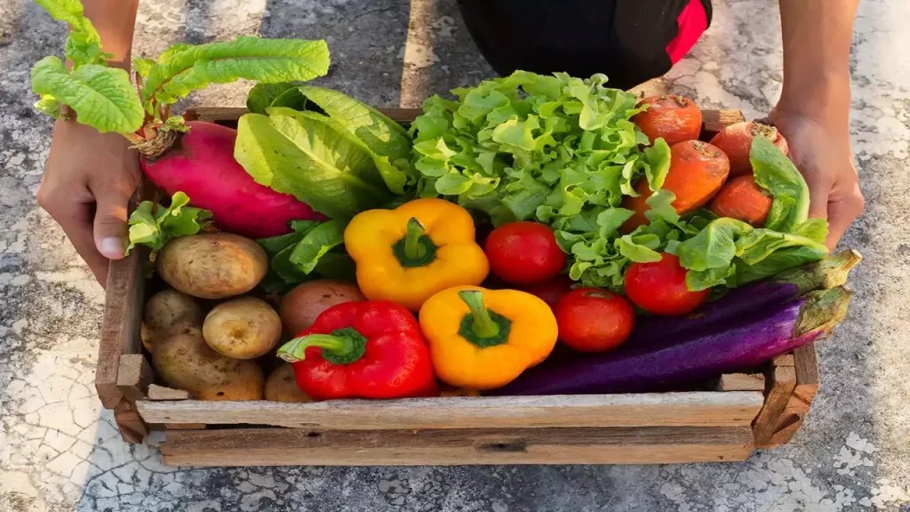 How To Grow Vegitable At Home