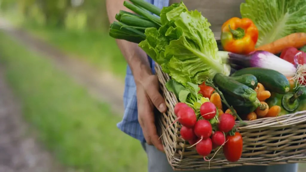 Understanding The Importance Of Quality Vegetables