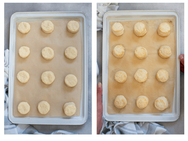Biscuits Without Milk Foods Guy