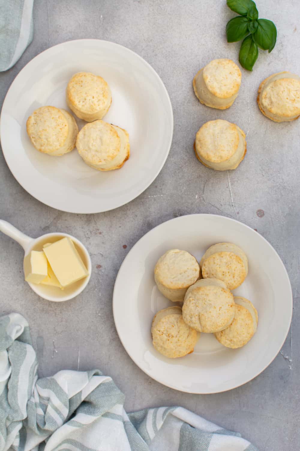 Biscuits Without Milk Foods Guy