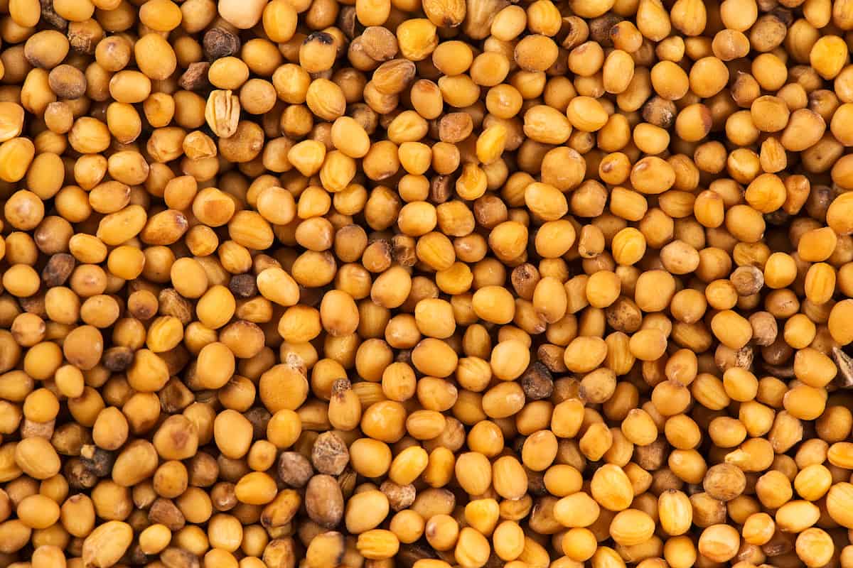 The 7 Best Substitutes For Mustard Seed Foods Guy