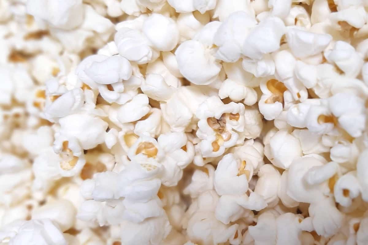 Is Popcorn Vegan? And The Best Vegan Popcorns Foods Guy