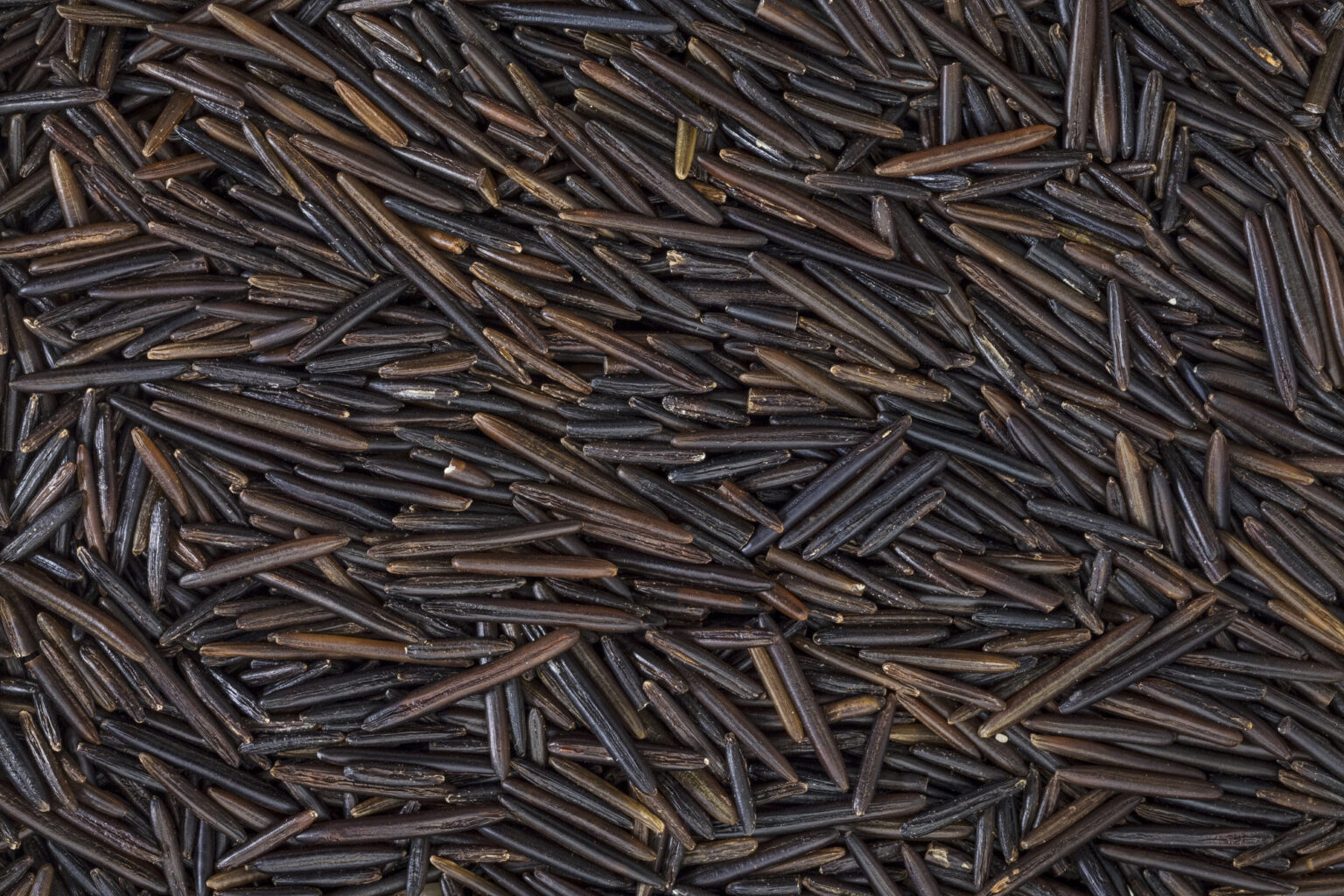 How Much Does Rice Expand? Foods Guy