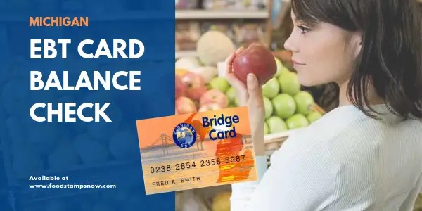 Michigan EBT Card Balance Phone Number and Login Food Stamps Now
