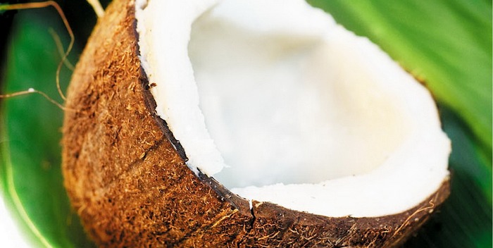 How to store coconut Foods Trend