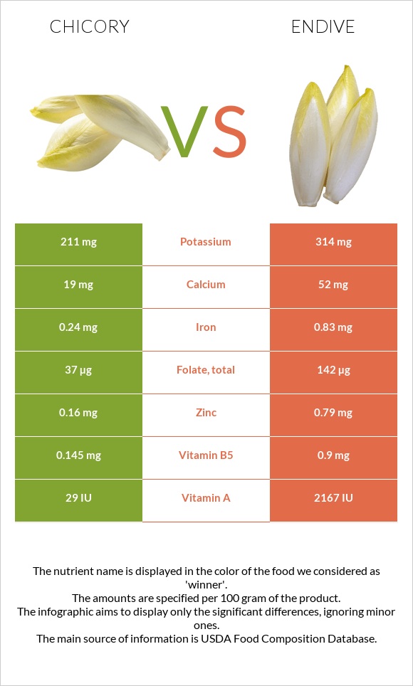 Chicory vs. Endive — InDepth Nutrition Comparison
