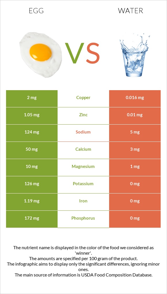 Egg vs. Water — InDepth Nutrition Comparison
