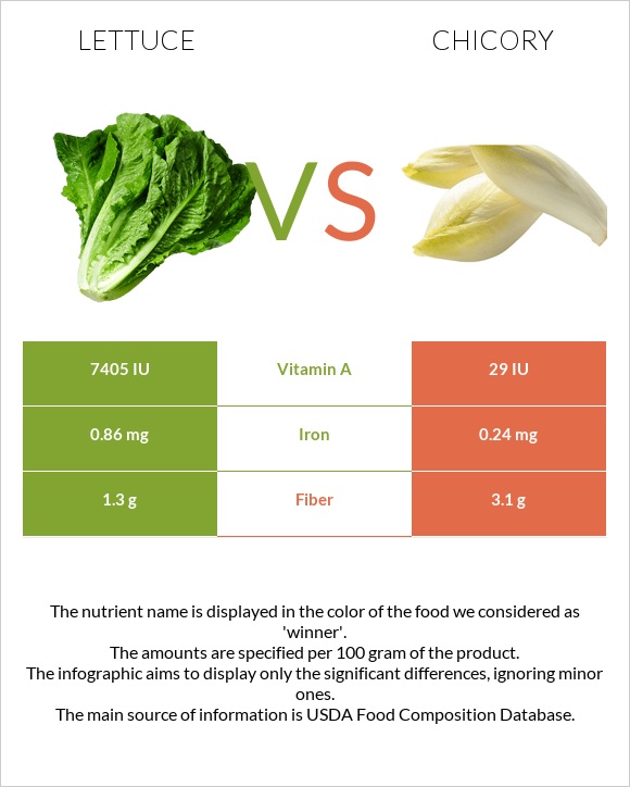 Lettuce vs. Chicory — InDepth Nutrition Comparison