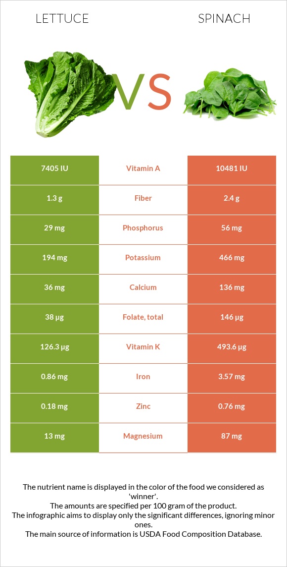 Lettuce vs Spinach Health impact and Nutrition Comparison