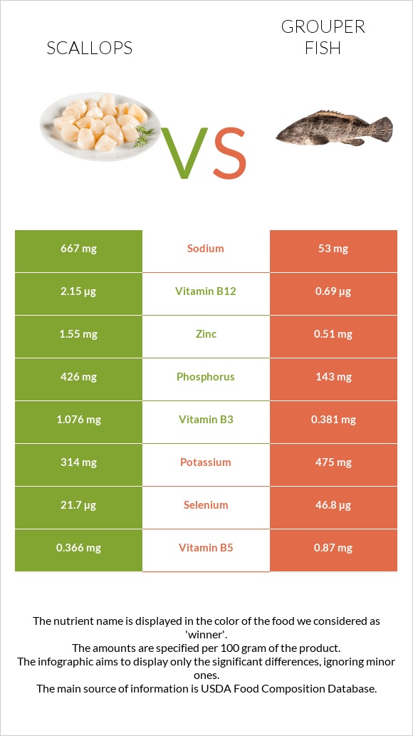 Scallop vs Grouper fish InDepth Nutrition Comparison