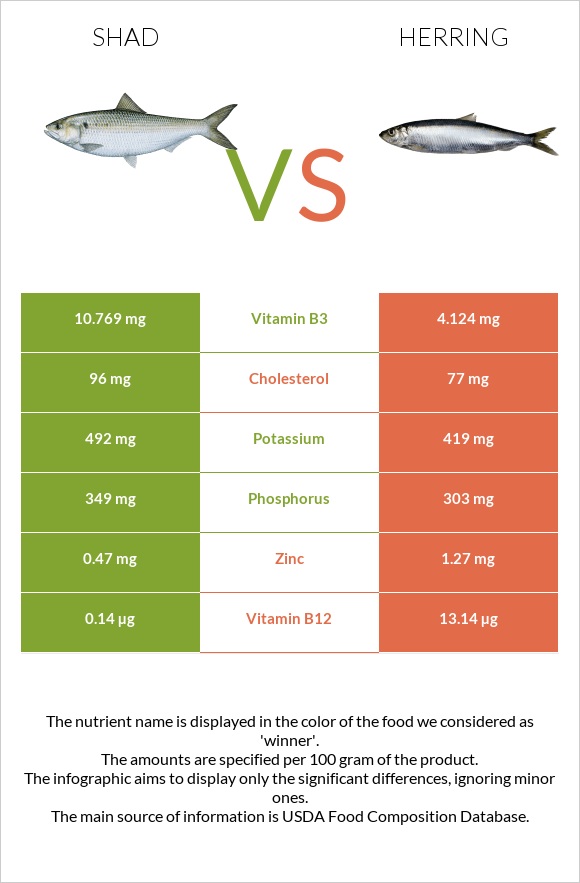 Shad vs. Herring — InDepth Nutrition Comparison
