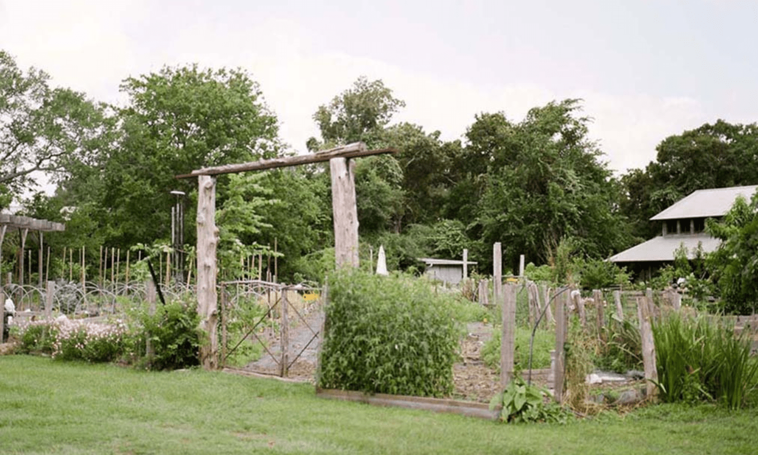 Transforming Youth Education and Regenerating Land Food Tank