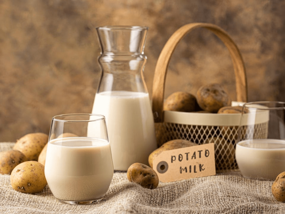 Potato Milk FoodTech Pathshala