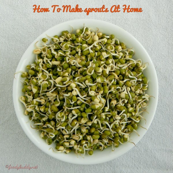 homemade mung bean sprouts