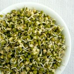 homemade moong beans sprouts