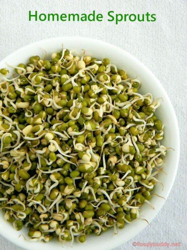 homemade mung bean sprouts