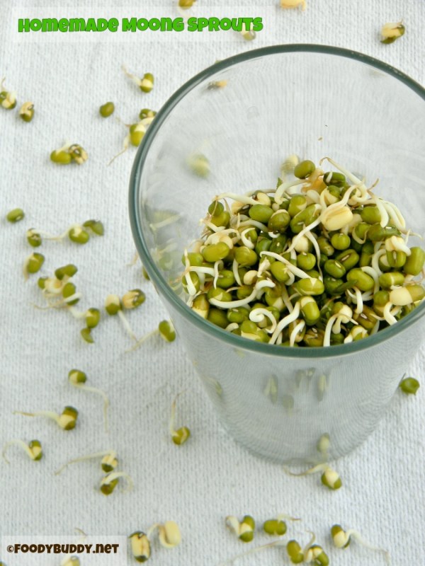 homemade mung bean sprouts