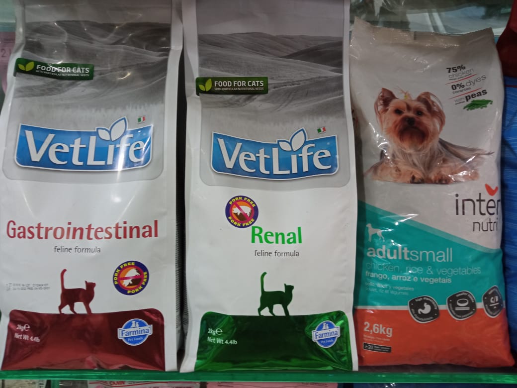 How Long Does Dry Cat Food Last? Foody Paws