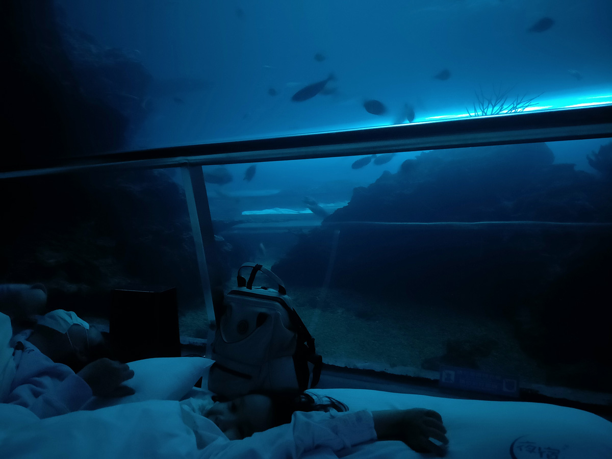 夜宿海生館_第二天_潮間帶生態觀察