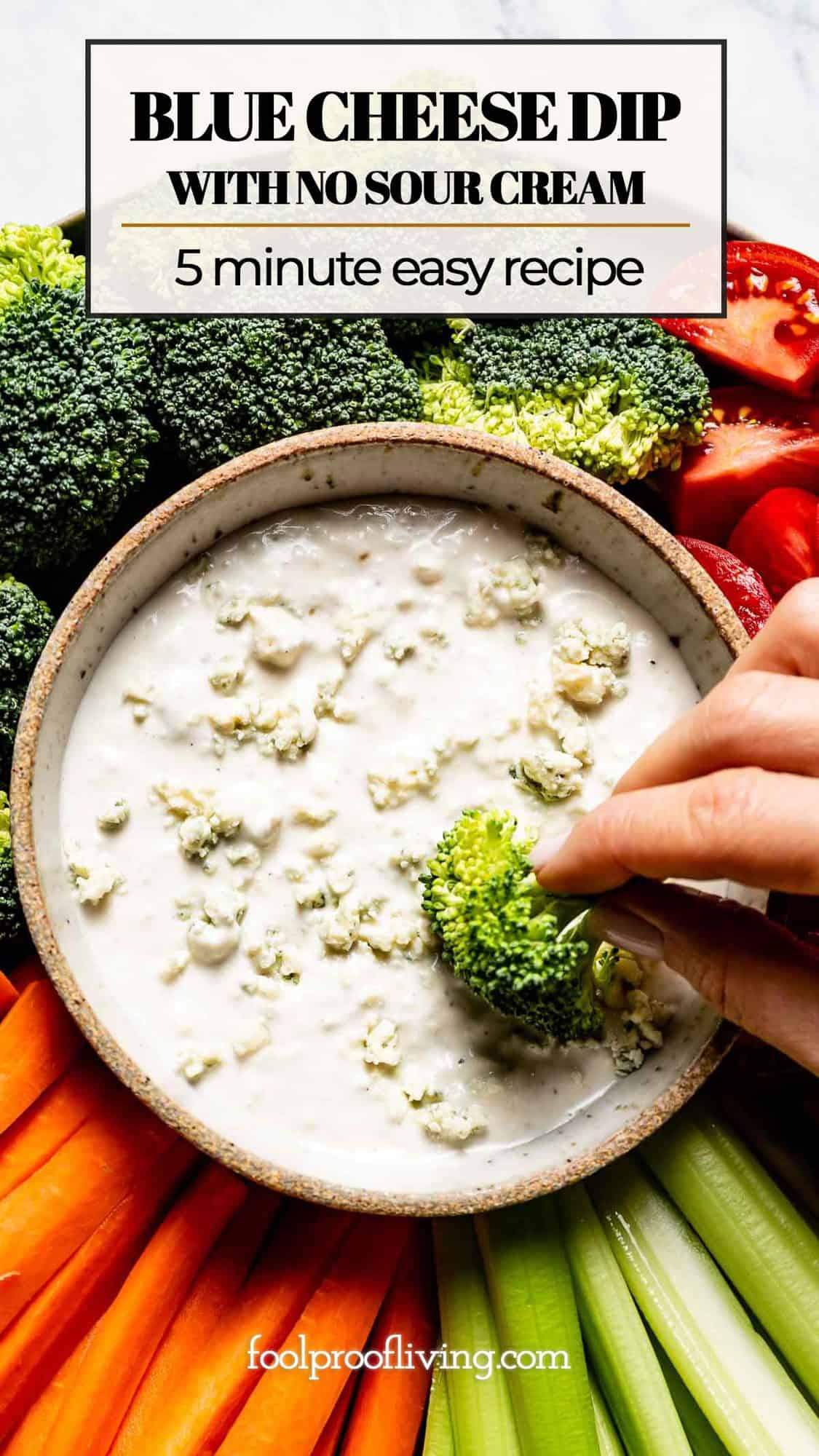 Blue Cheese Dip Without Sour Cream Foolproof Living