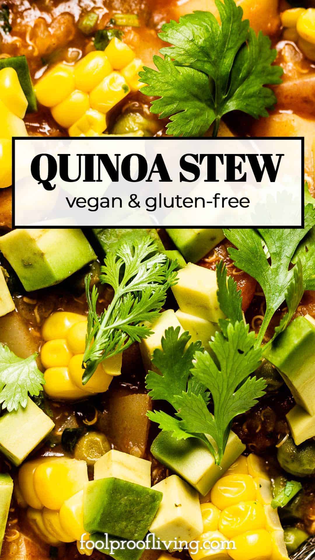 Quinoa Stew with Vegetables (Vegan & Gluten Free Recipe)