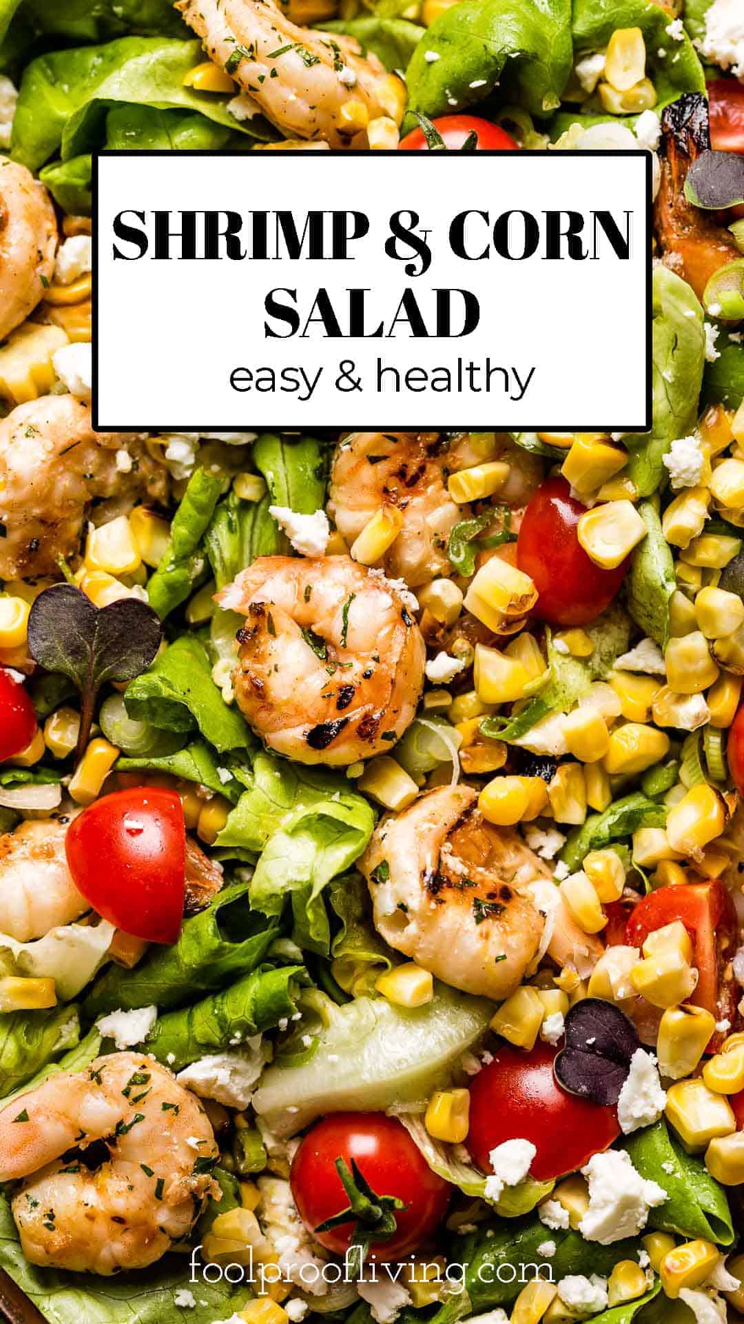Grilled Shrimp Corn Salad Recipe with Lime Dressing Foolproof Living
