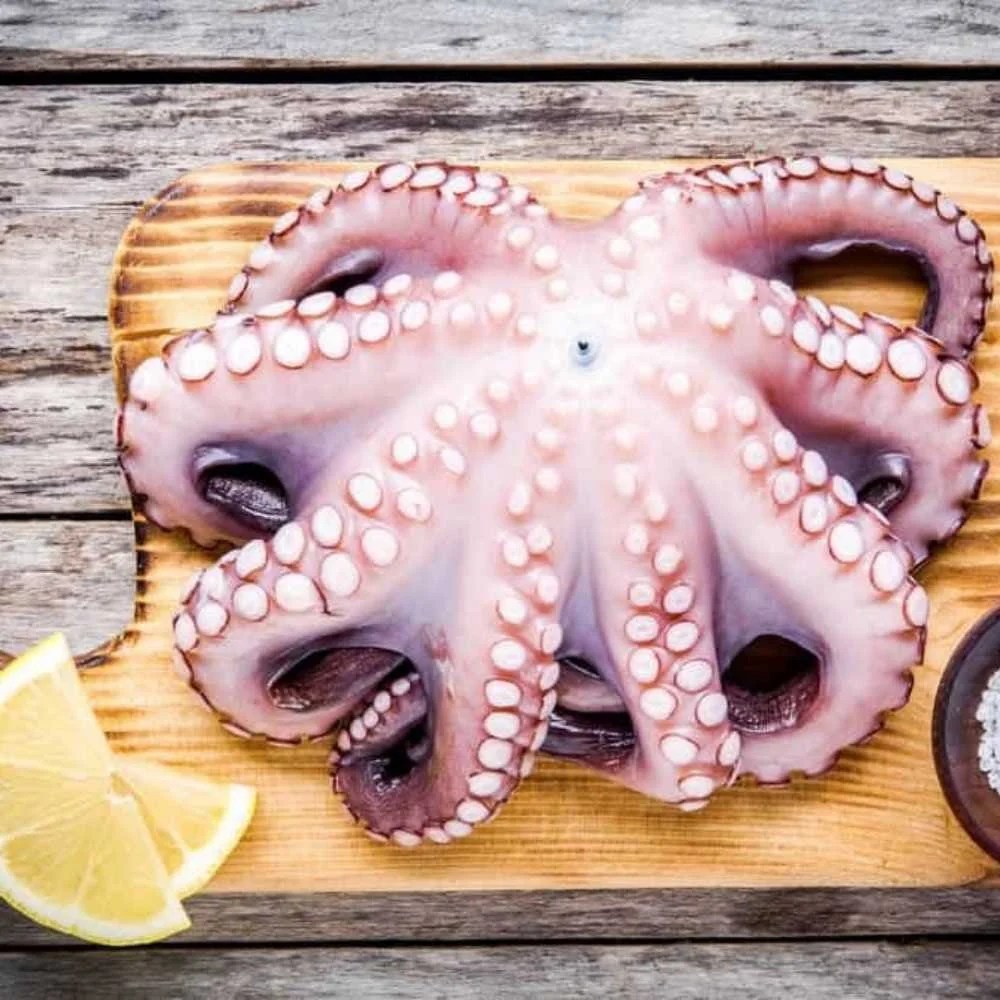Buy Frozen Baby Octopus U/10 Online Baby Octopus Home Delivery
