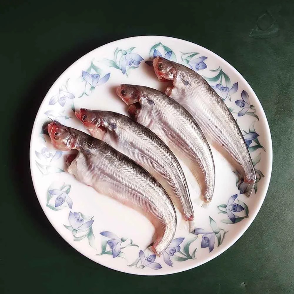 Buy Pabho/Pabda/Pavda Fish Online in Guwahati Fish Home Delivery in