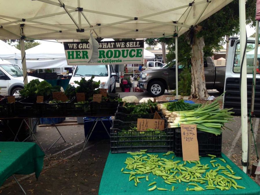 Tips and tricks for shopping at the farmers’ market The Foothill Dragon Press