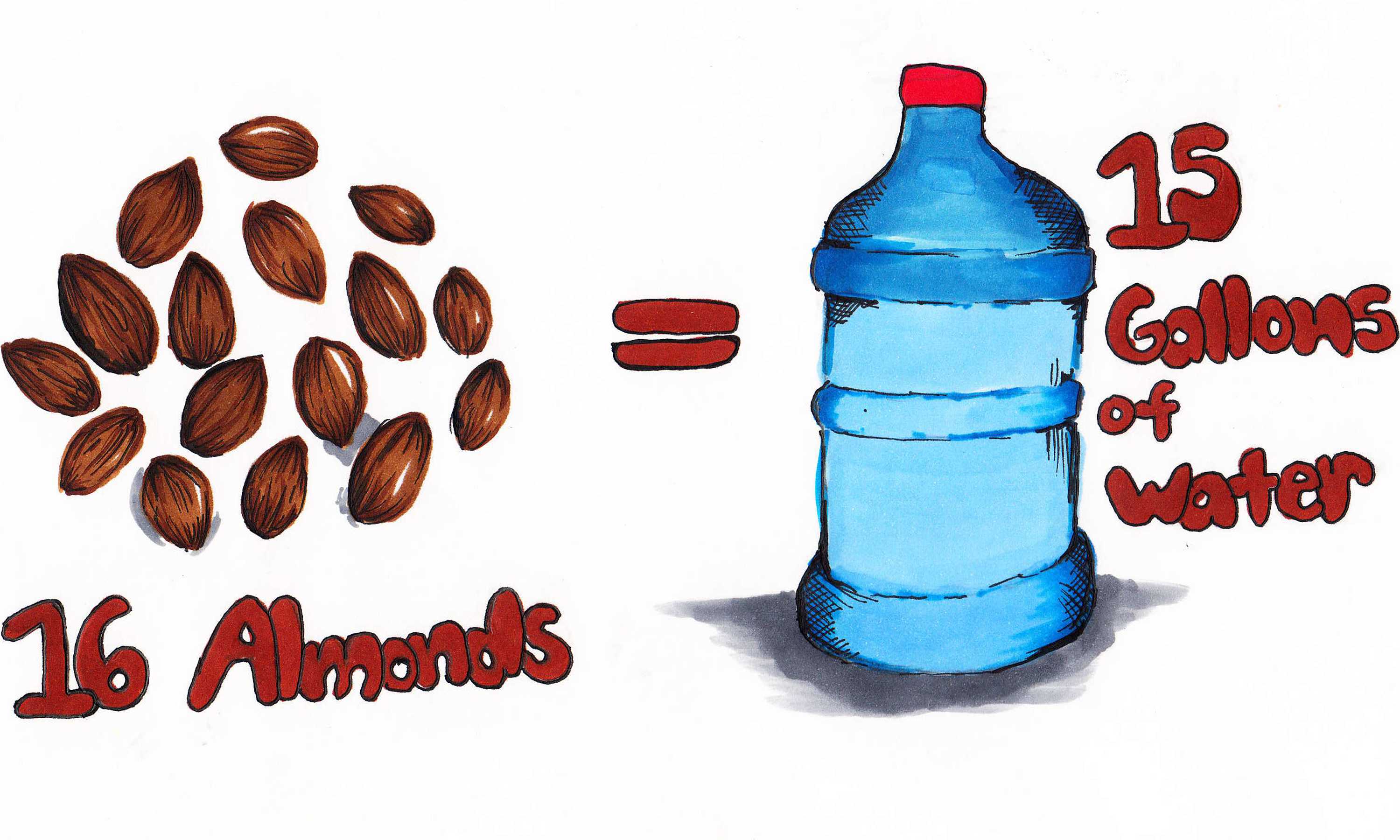 5 ways to help cut down on California water usage The Foothill Dragon