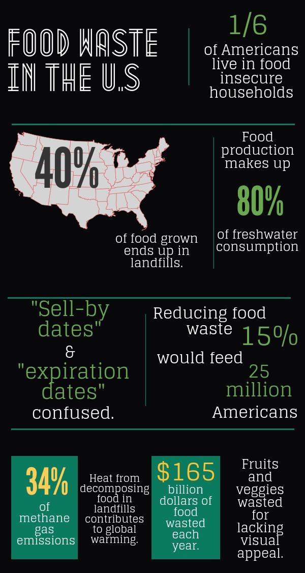 Food waste in America A growing problem HS Insider