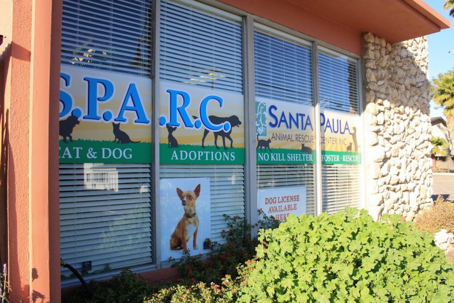 Santa Paula Animal Shelter Thrift Store All Things About
