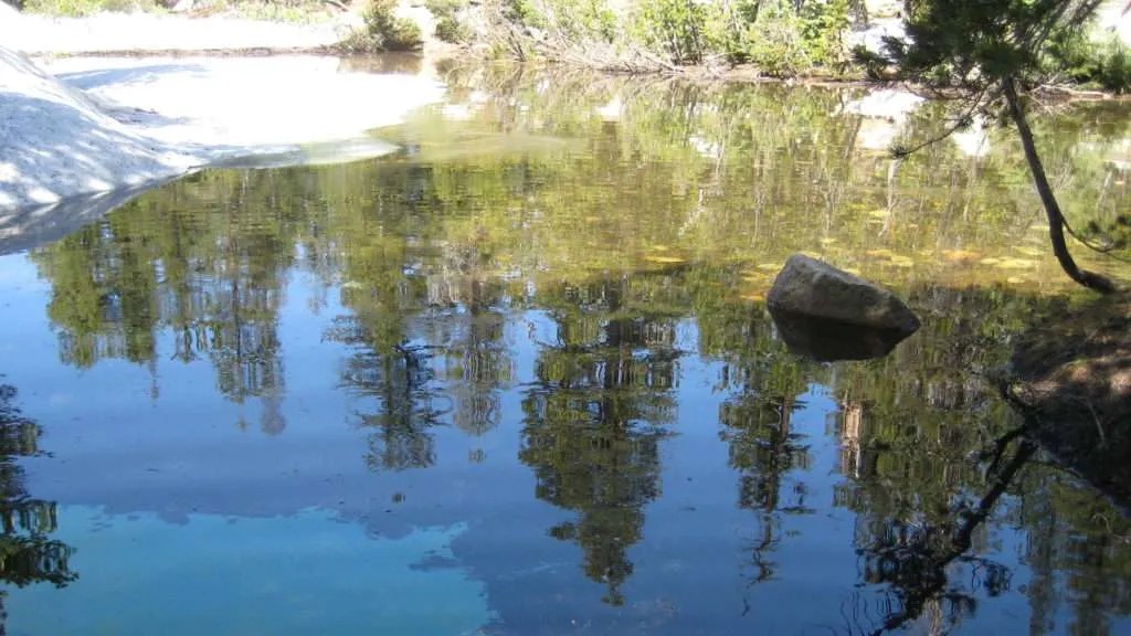 Where the mosquitoes at Mosquito Lake come from Foothill Sierra Pest