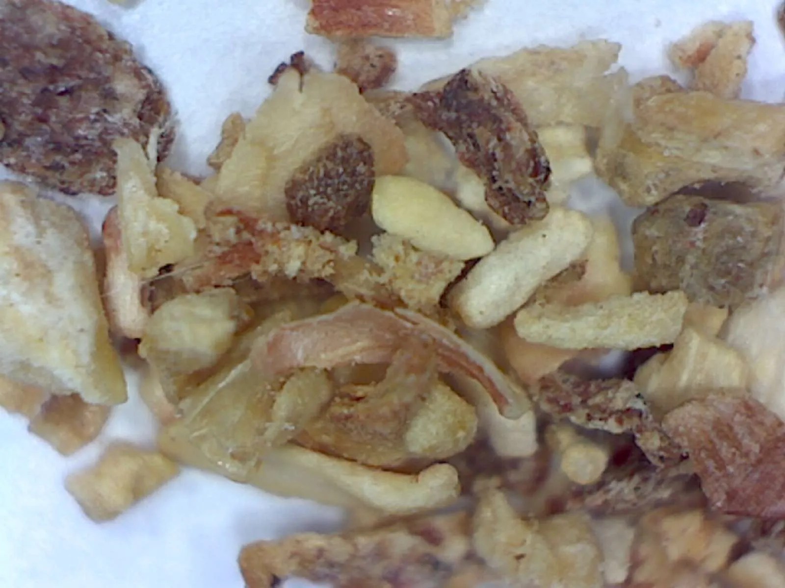 Kitty litter - Foothill Sierra Pest Control