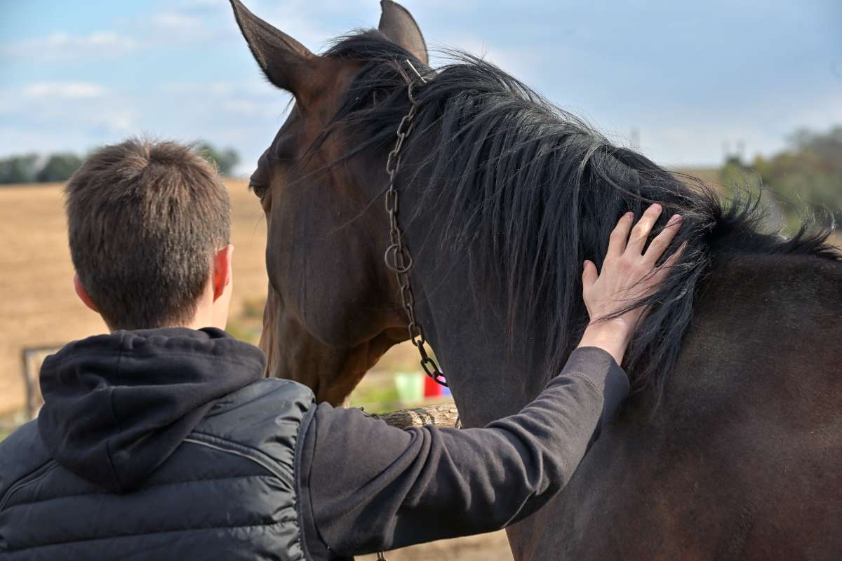 What Happens During Equine Therapy? Teen Therapy NC