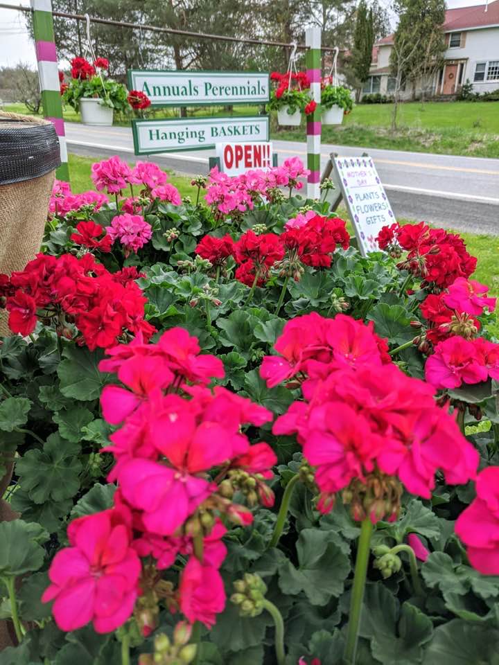 Foothills Flower Farm