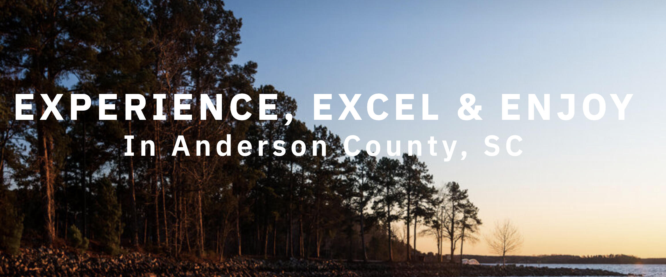 Pest Control Anderson SC Pest Treatment in South Carolina