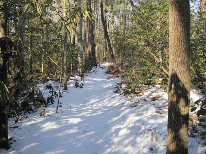 Fish Hatchery Road (A10) to Burrell’s Ford Road (A11) Foothills Trail