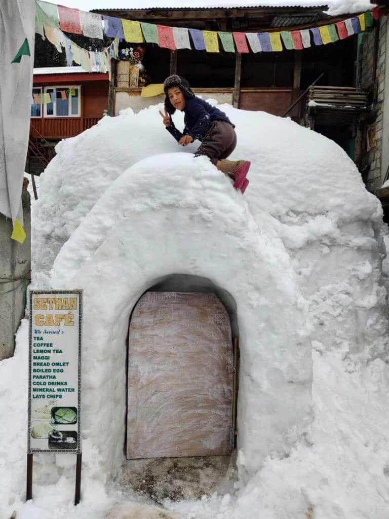 Igloo Stay In Manali All You Need To Know