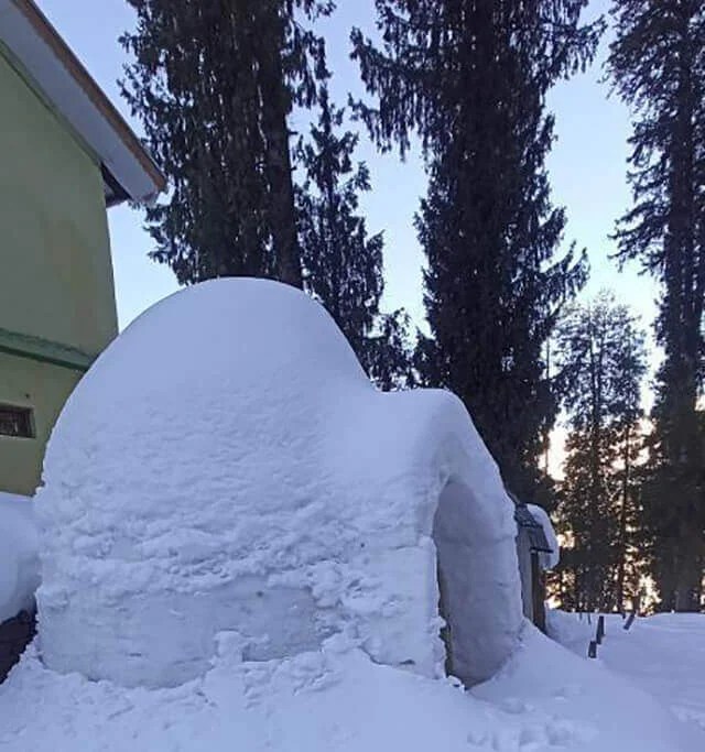 Igloo Stay In Manali All You Need To Know