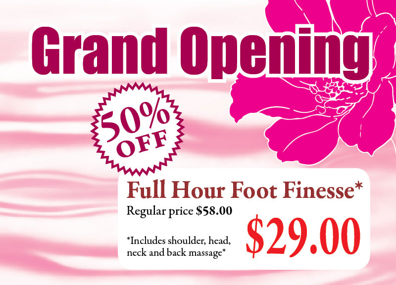 Health Foot Massage Lansing, IL 60438