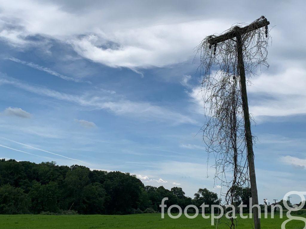 Clover Hill Park Trail footpathing