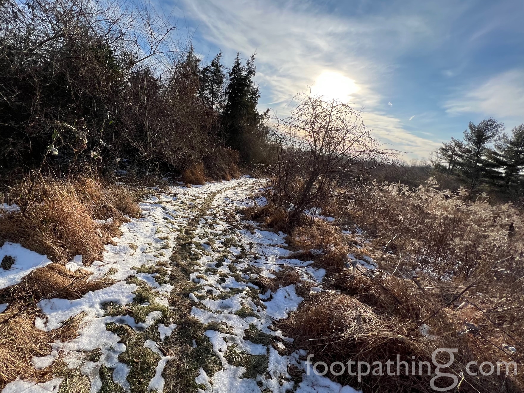 Mount Rose Preserve footpathing
