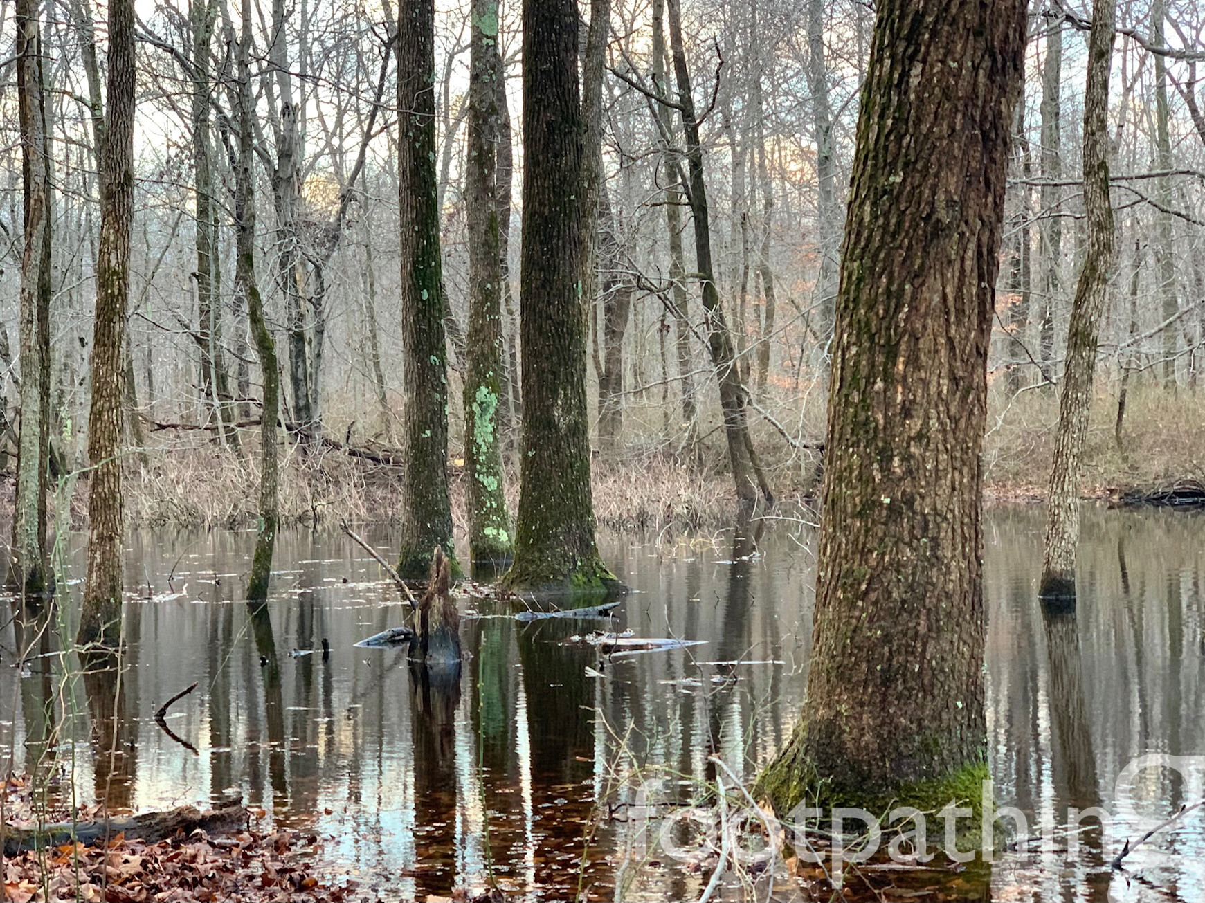 Van Dyke Farm Trail footpathing