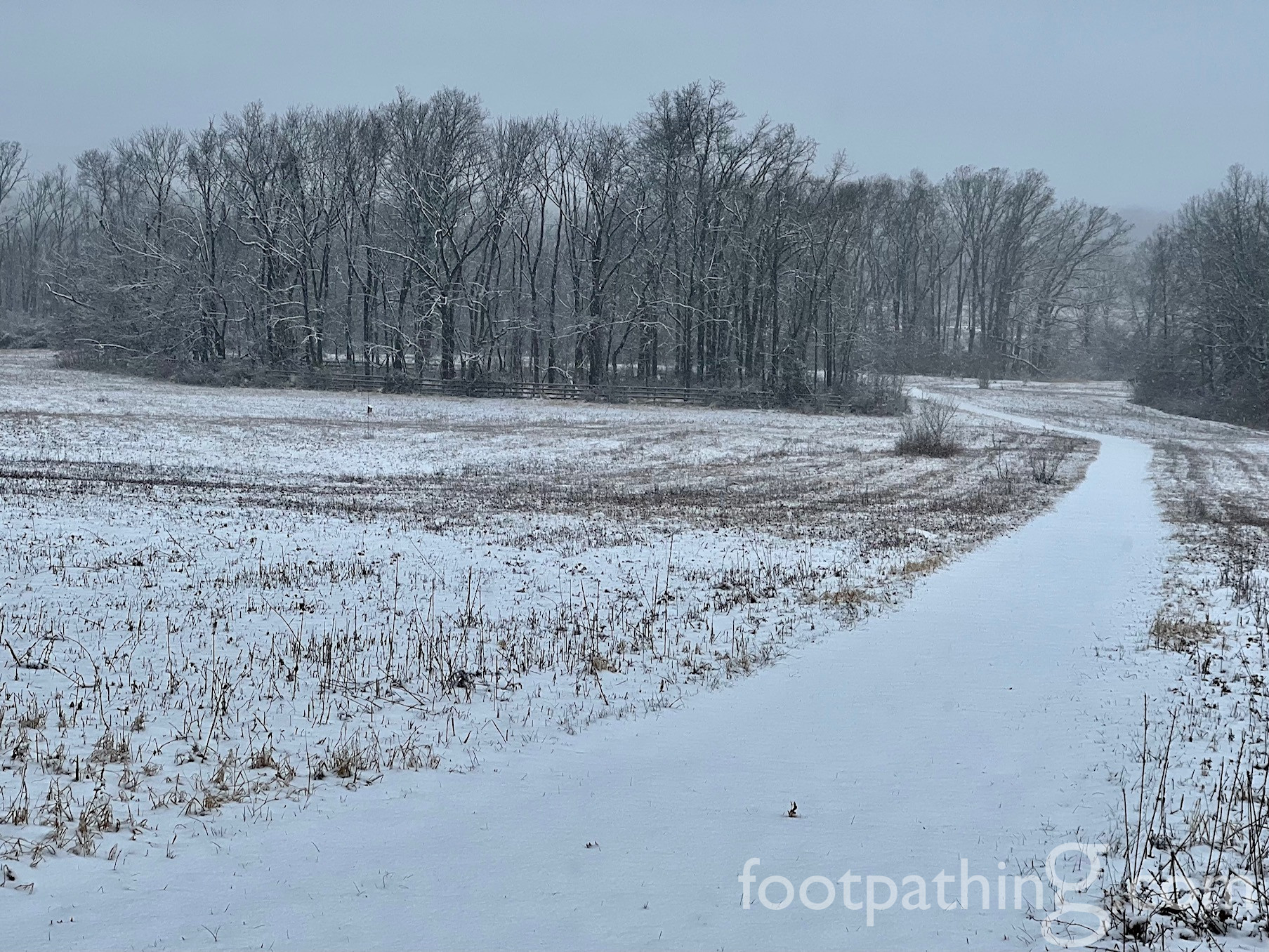 Princeton Highlands / Griggstown Native Grassland Preserve Trail