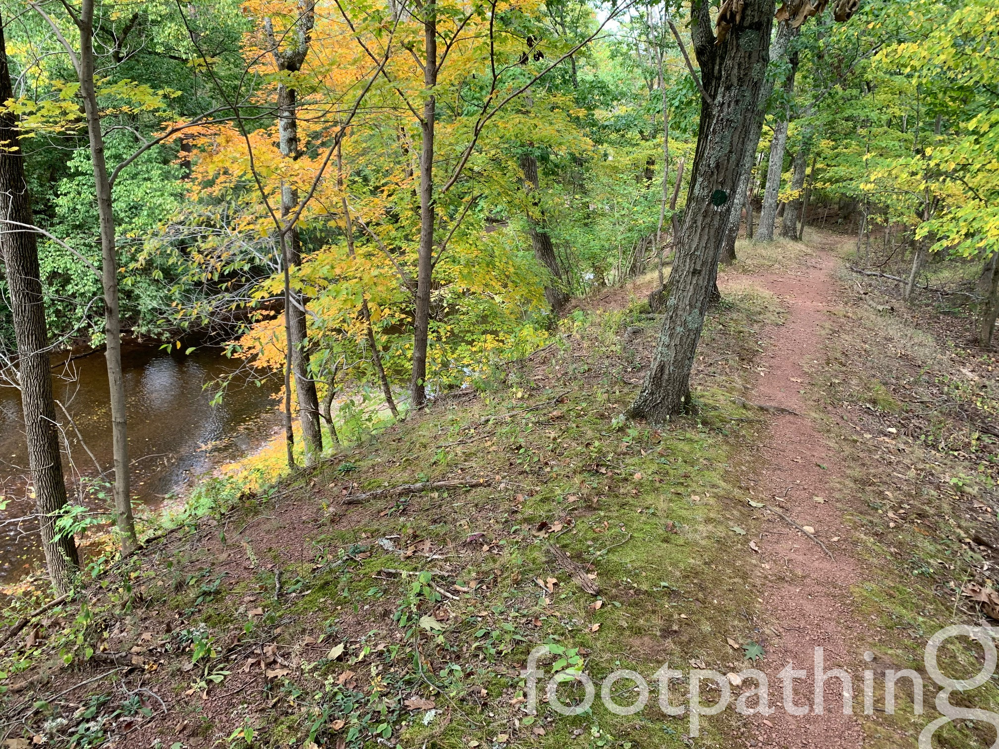 Stonebridge Preserve Trail footpathing