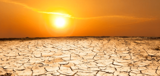 Keep it DRY. – Today's Card