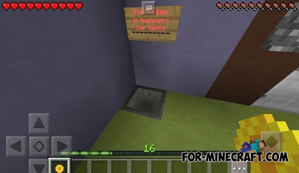 Minecraft Locator Map Level
