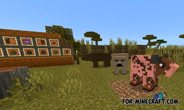 Vanilla Explored Addon for Minecraft PE 1.16